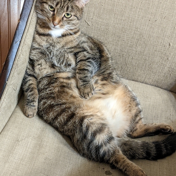 NOT FOR SALE - Picture 5 of 12